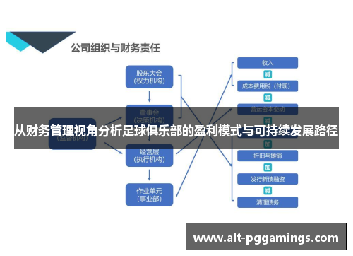 从财务管理视角分析足球俱乐部的盈利模式与可持续发展路径