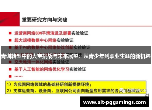 青训转型中的大宝挑战与未来展望：从青少年到职业生涯的新机遇