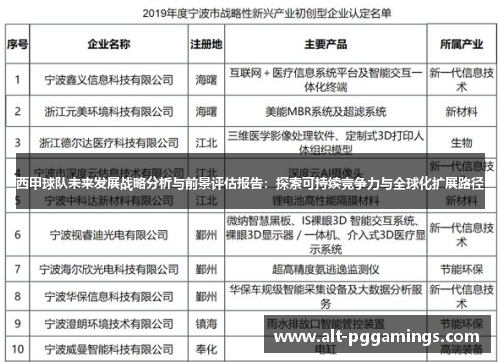 西甲球队未来发展战略分析与前景评估报告：探索可持续竞争力与全球化扩展路径